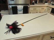 Cat Toy - Long Feather Teaser Wand in Kingwood, Texas